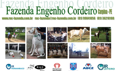 Fazenda Engenho Cordeiro